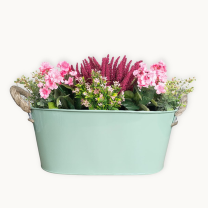Decorative sage green metal planter with plants on white background