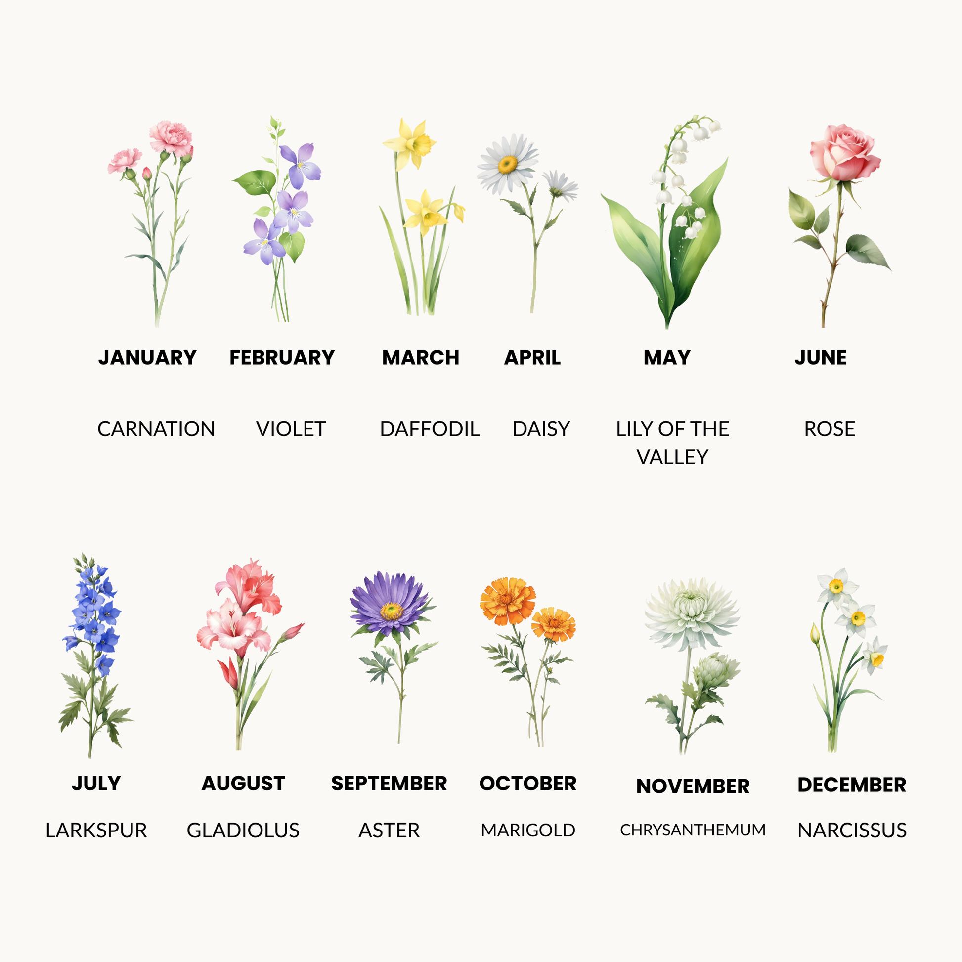 12 birth flower watercolour images, each month is represented by its birth flower